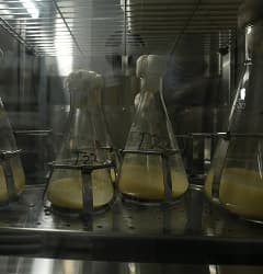 Bio-Agrochemicals