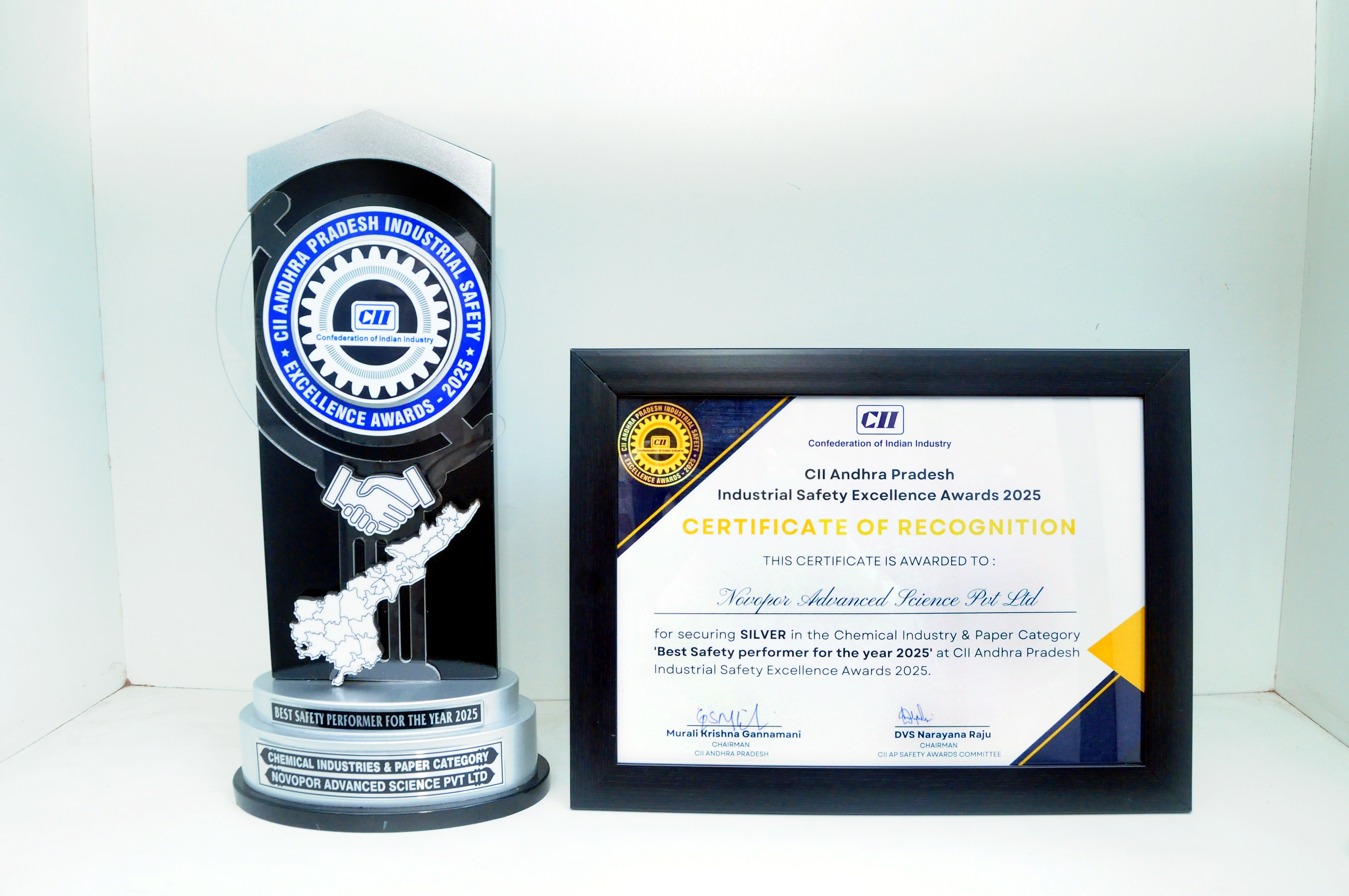 Bronze Award