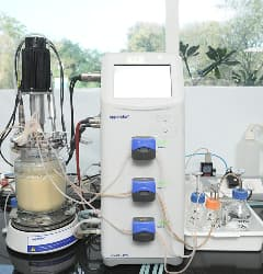 Fermentation